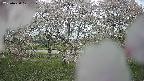 ochiai3-20250430121227.jpg