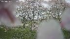 ochiai3-20250430131135.jpg