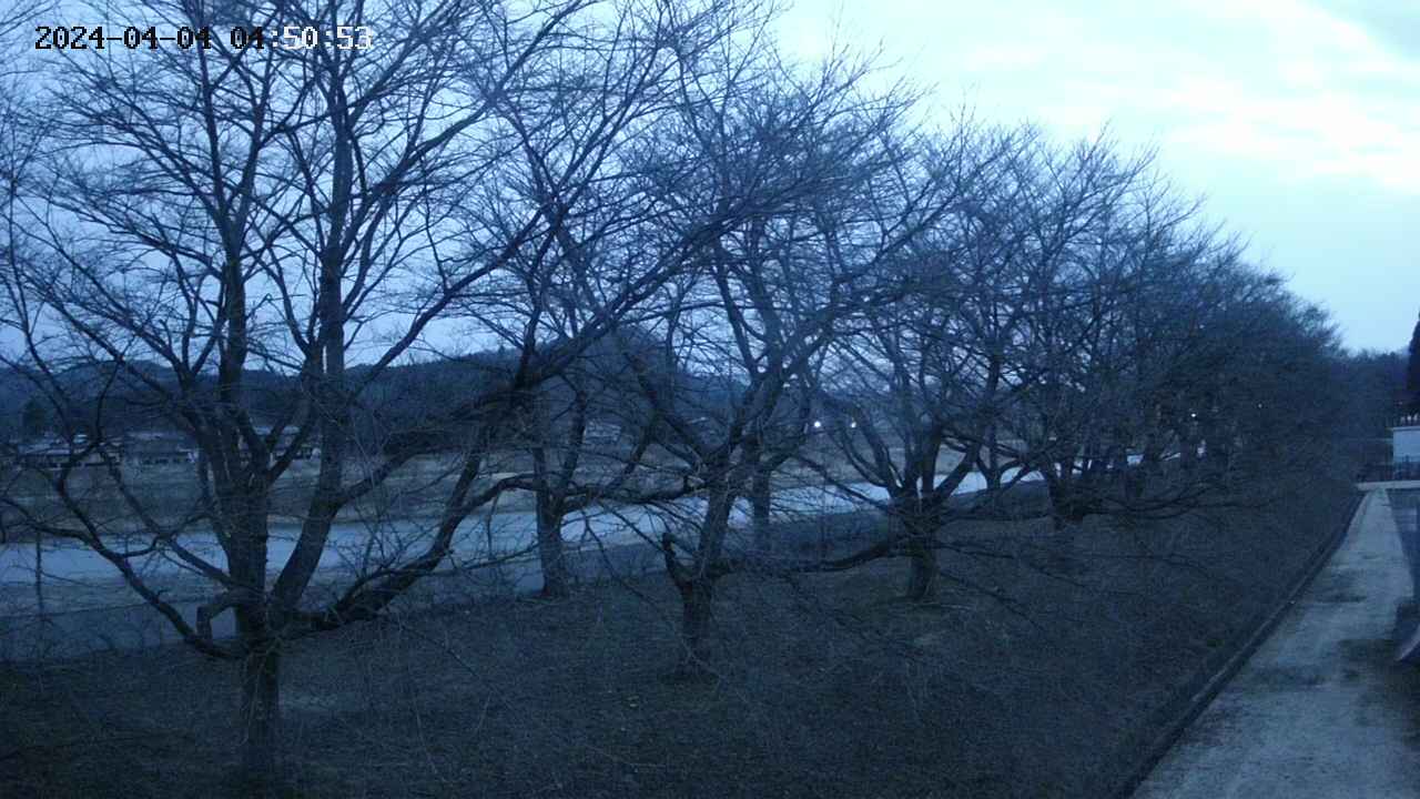 ochiai4-20240404045055.jpg