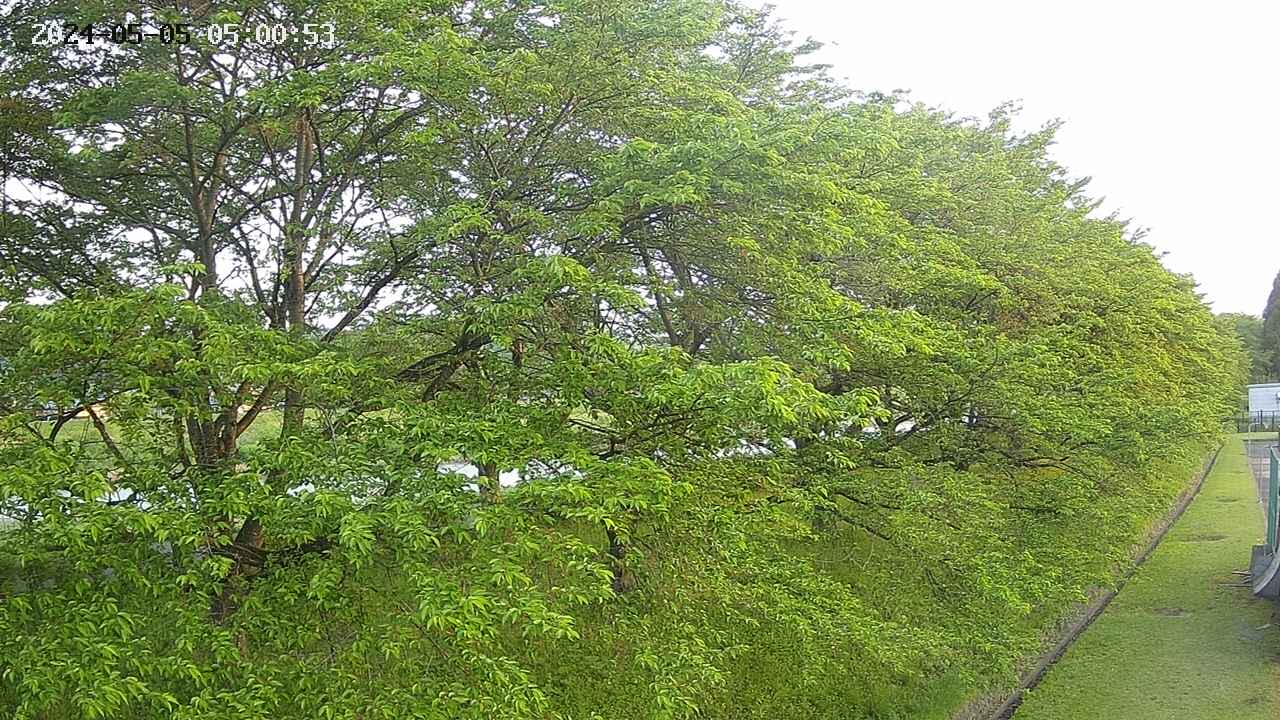 ochiai4-20240505050055.jpg