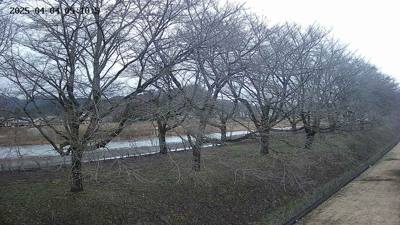 ochiai4-20250404051057.jpg