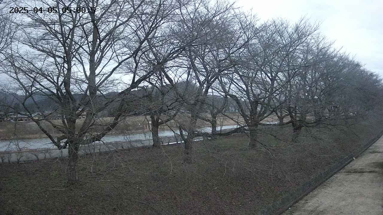 ochiai4-20250405050055.jpg
