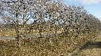 ochiai4-20250405065056.jpg