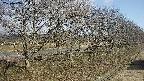ochiai4-20250405075100.jpg