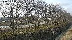 ochiai4-20250405165058.jpg