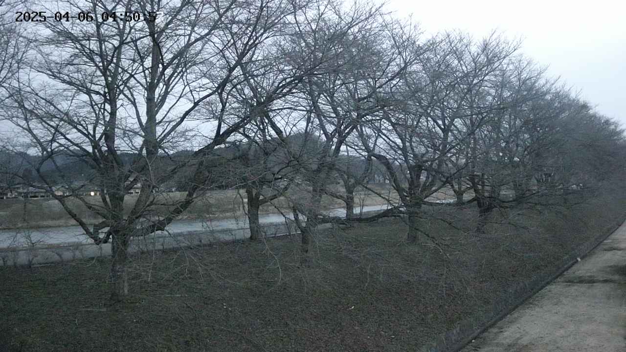 ochiai4-20250406045058.jpg