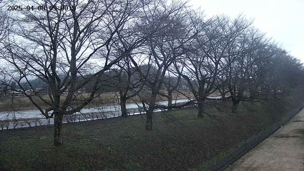 ochiai4-20250408050058.jpg