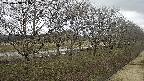 ochiai4-20250408105056.jpg