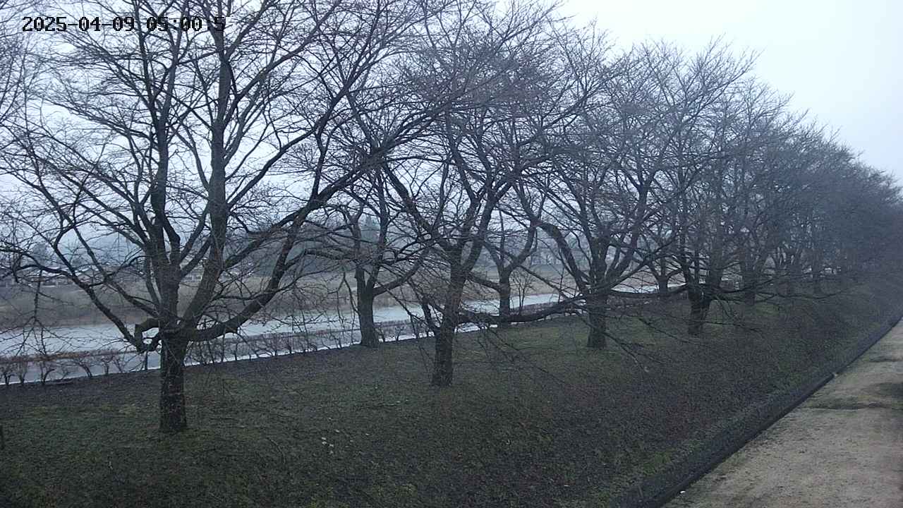 ochiai4-20250409050057.jpg