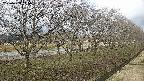 ochiai4-20250409145057.jpg
