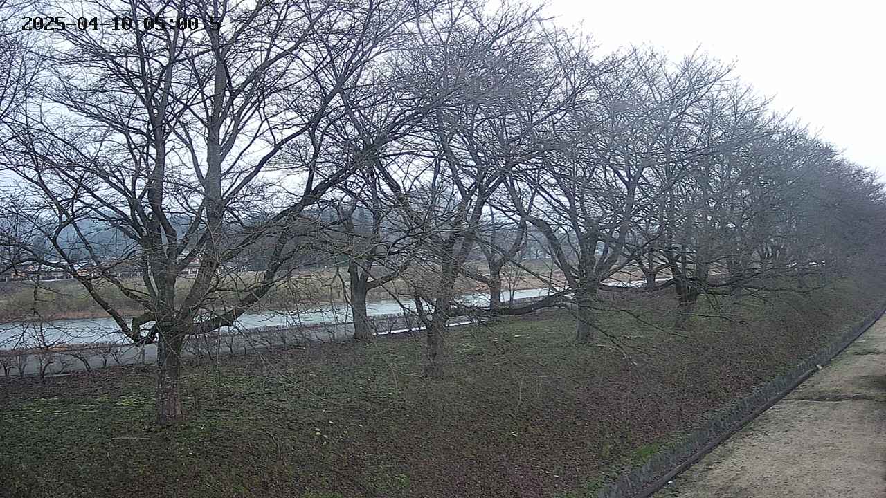 ochiai4-20250410050056.jpg