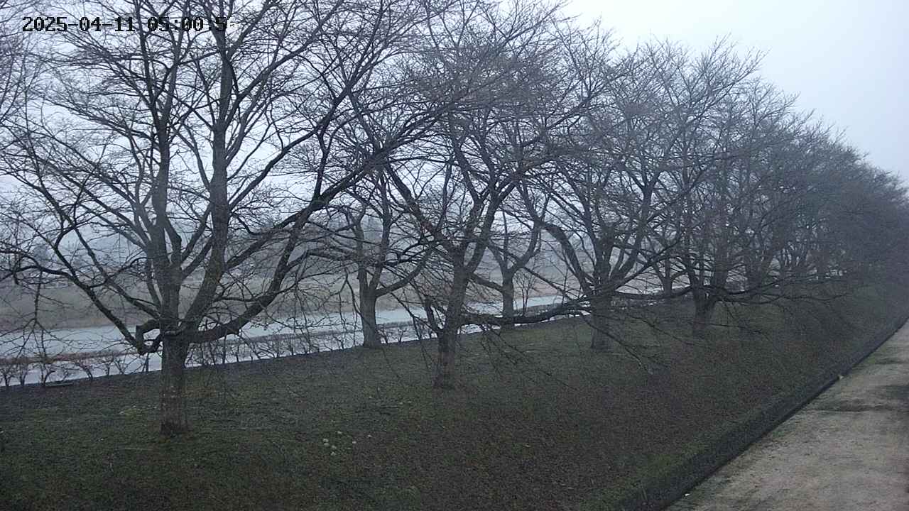 ochiai4-20250411050057.jpg