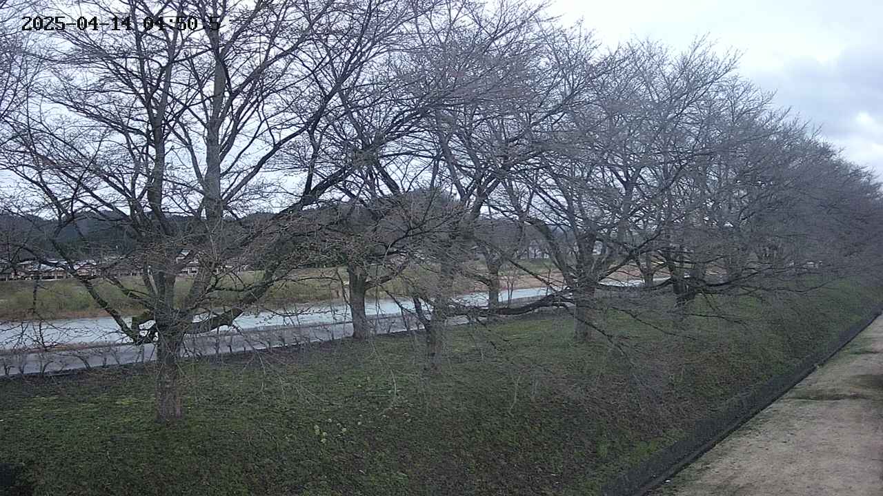ochiai4-20250414045056.jpg