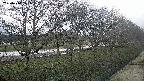 ochiai4-20250414171101.jpg