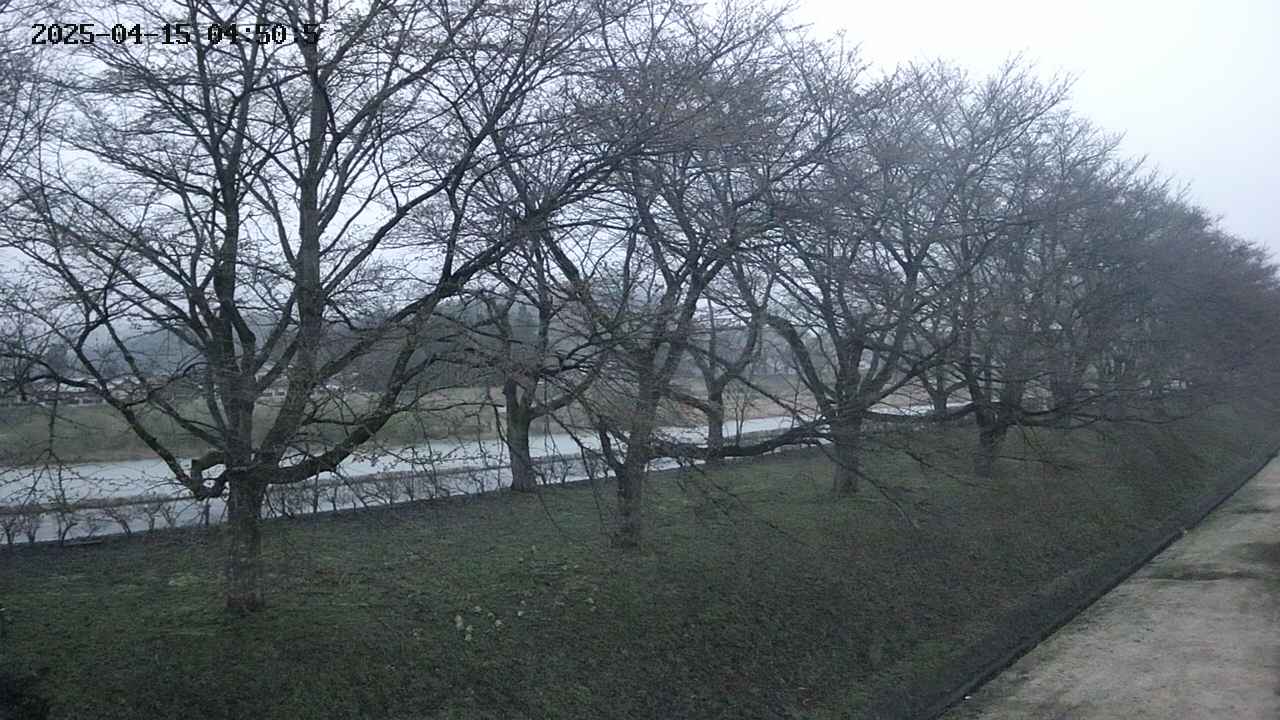 ochiai4-20250415045059.jpg