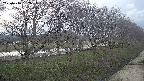 ochiai4-20250416182055.jpg