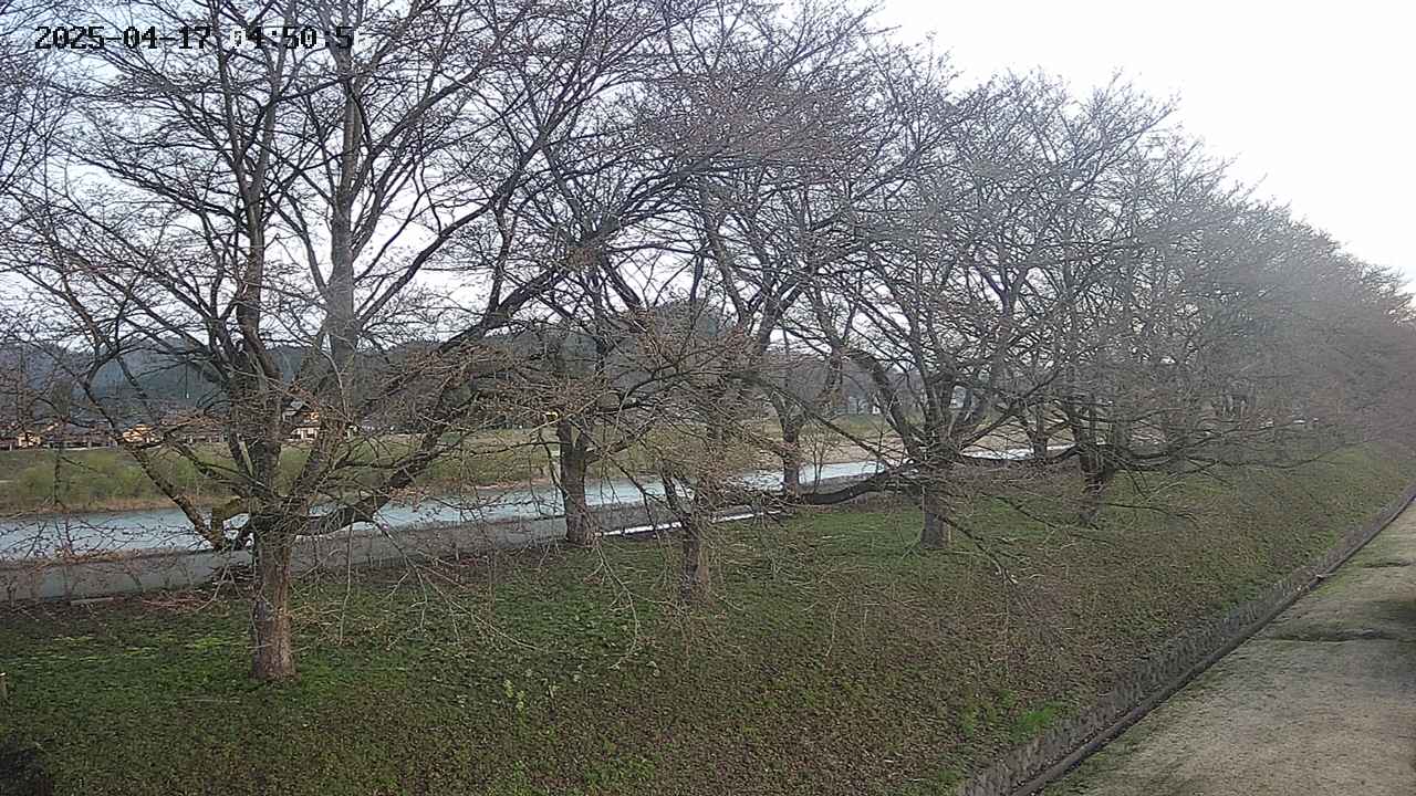ochiai4-20250417045058.jpg