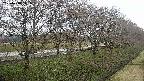 ochiai4-20250418111100.jpg
