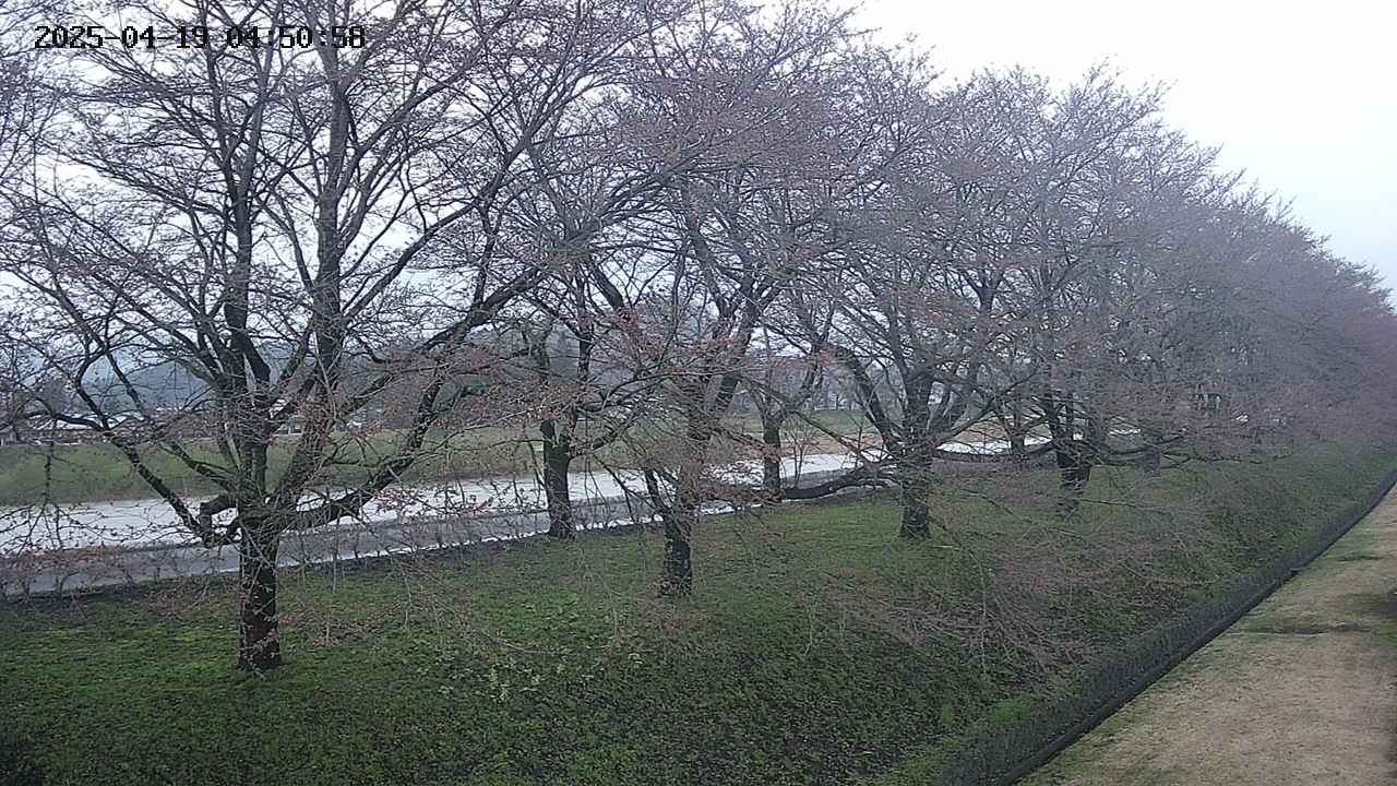 ochiai4-20250419045100.jpg