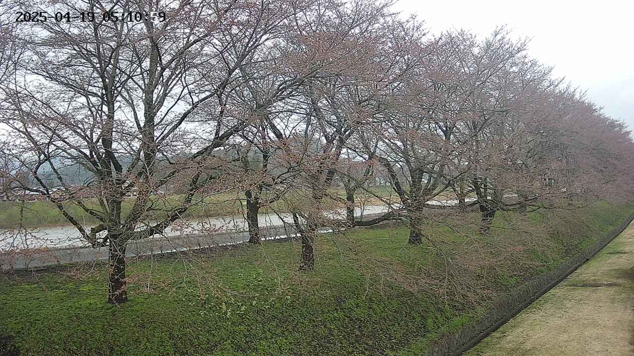 ochiai4-20250419051100.jpg