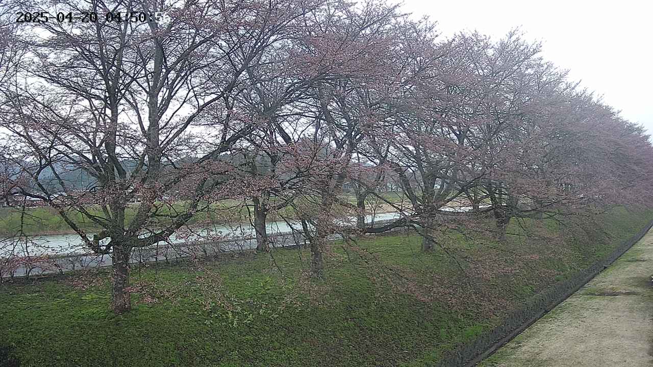 ochiai4-20250420045058.jpg