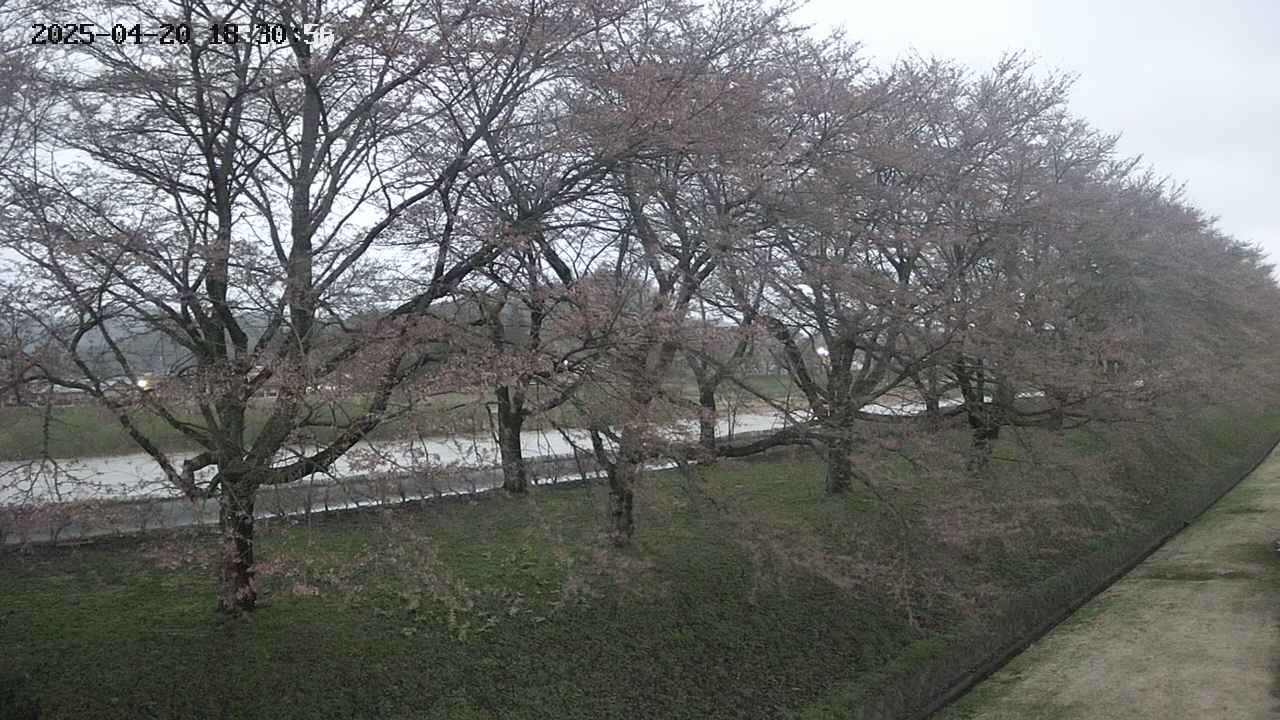 ochiai4-20250420183058.jpg