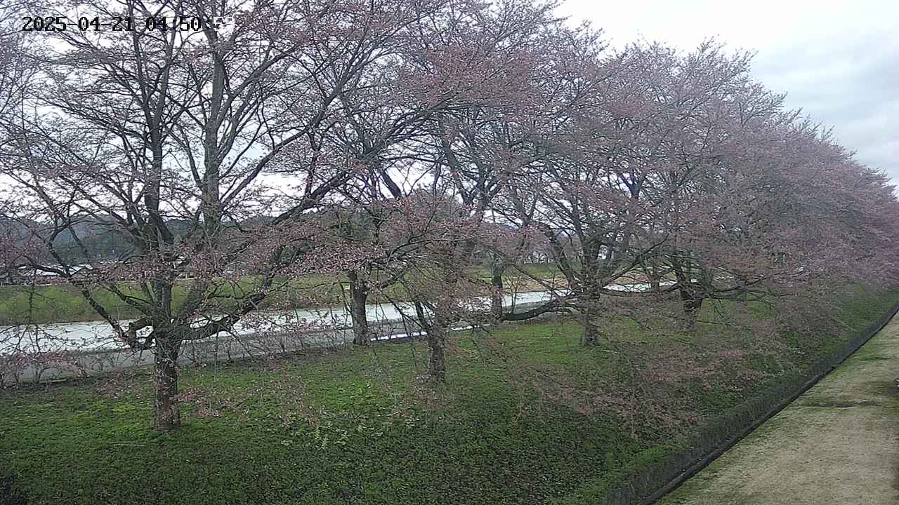 ochiai4-20250421045101.jpg