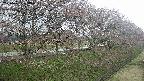 ochiai4-20250421133100.jpg