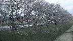 ochiai4-20250421184100.jpg
