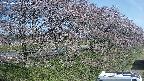 ochiai4-20250422075059.jpg