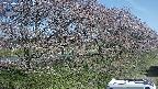 ochiai4-20250422081102.jpg
