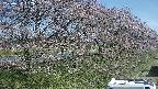 ochiai4-20250422082059.jpg