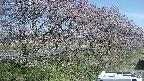 ochiai4-20250422083059.jpg