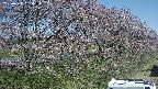 ochiai4-20250422085100.jpg