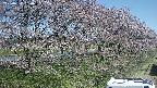 ochiai4-20250422090059.jpg