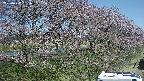 ochiai4-20250422091058.jpg