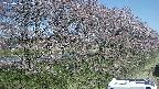 ochiai4-20250422092059.jpg
