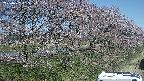 ochiai4-20250422093105.jpg