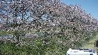 ochiai4-20250422100106.jpg