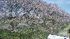 ochiai4-20250422101105.jpg
