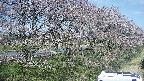 ochiai4-20250422102058.jpg