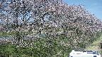 ochiai4-20250422103110.jpg