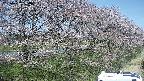 ochiai4-20250422104100.jpg