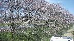 ochiai4-20250422105101.jpg