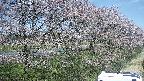 ochiai4-20250422110102.jpg