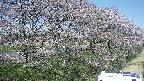 ochiai4-20250422112105.jpg