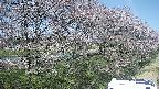 ochiai4-20250422113102.jpg