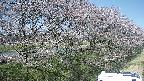 ochiai4-20250422114111.jpg
