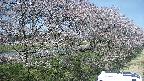 ochiai4-20250422115112.jpg