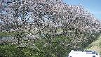 ochiai4-20250422121107.jpg
